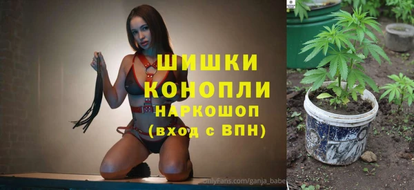 apvp Алексин