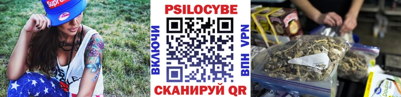 Псилоцибиновые грибы Psilocybe  Казань 