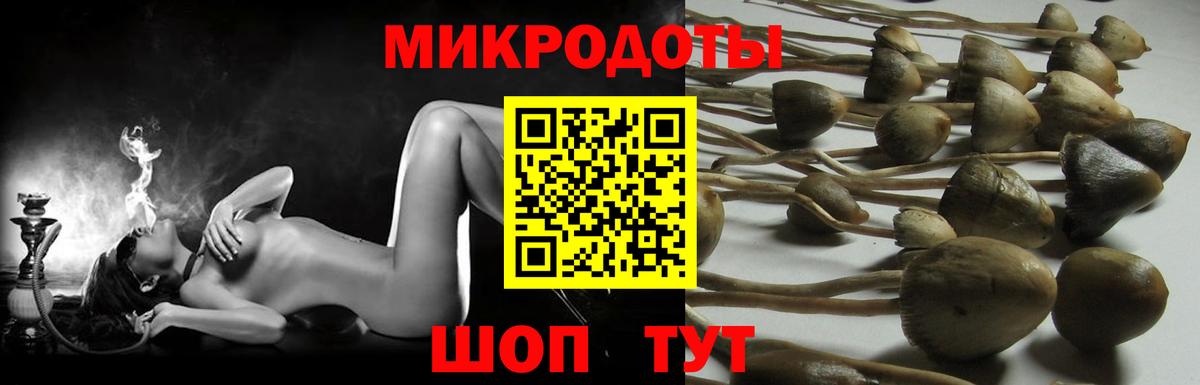 хочу наркоту  Псилоцибиновые грибы Magic Shrooms  Вход с VPN  Казань 